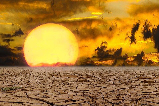 blockchain cambio climático