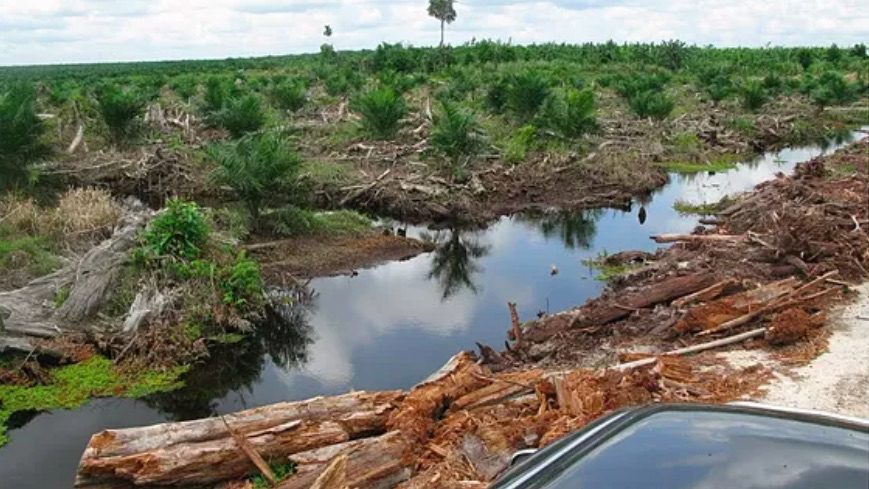cambio climático blockchain