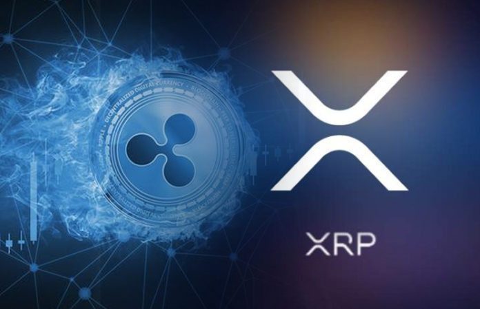 ripple fondo nft