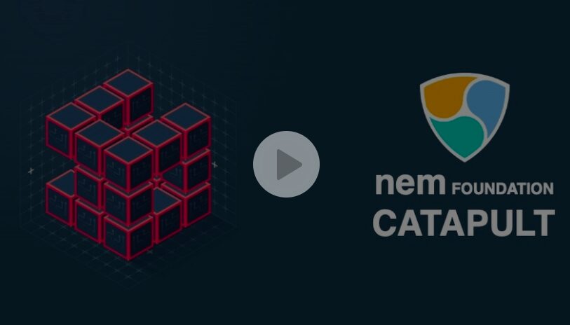 Tutellus impartirá en todo el mundo el curso oficial de programación en Catapult, la blockchain de NEM