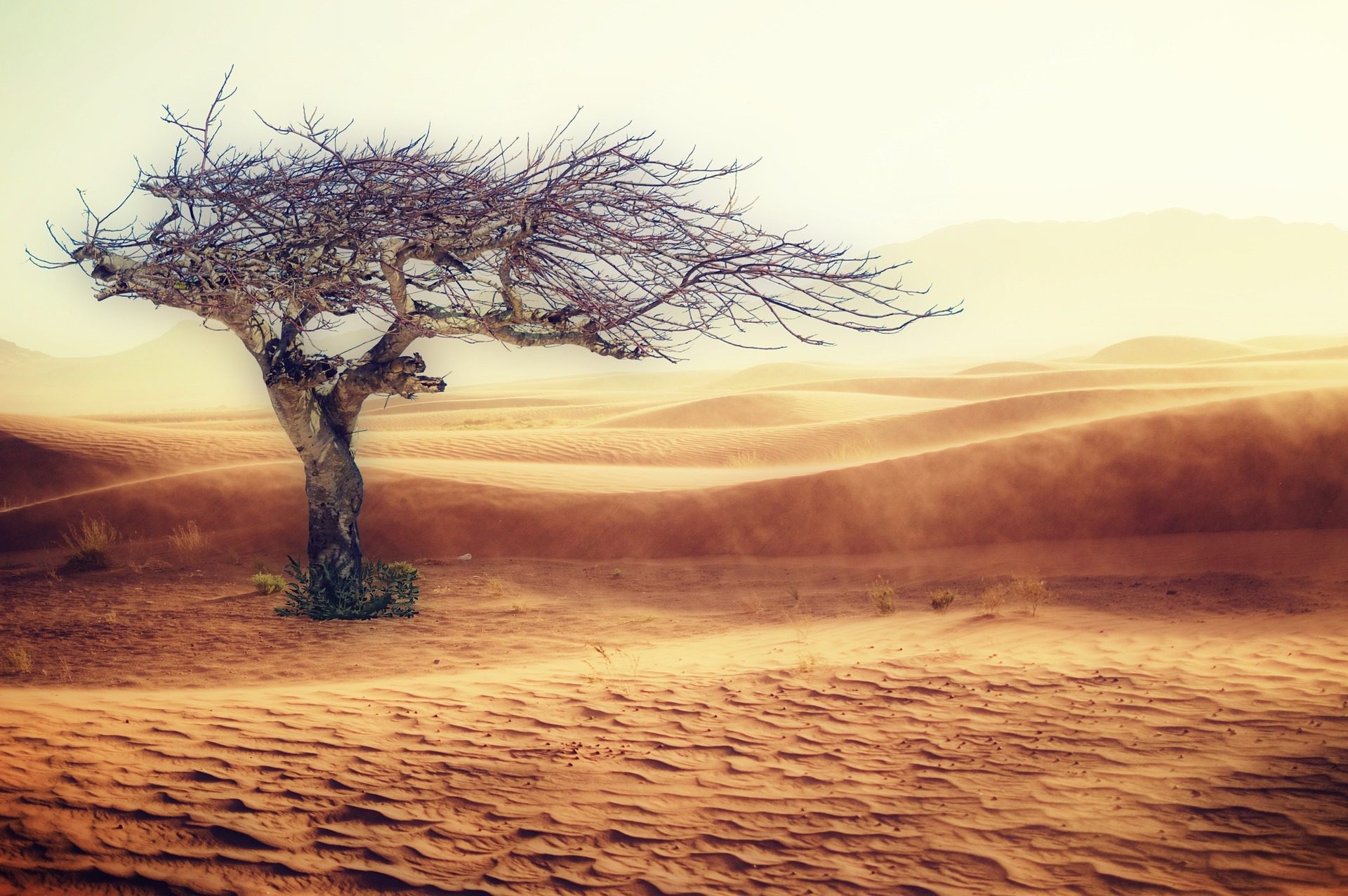 blockchain cambio climático