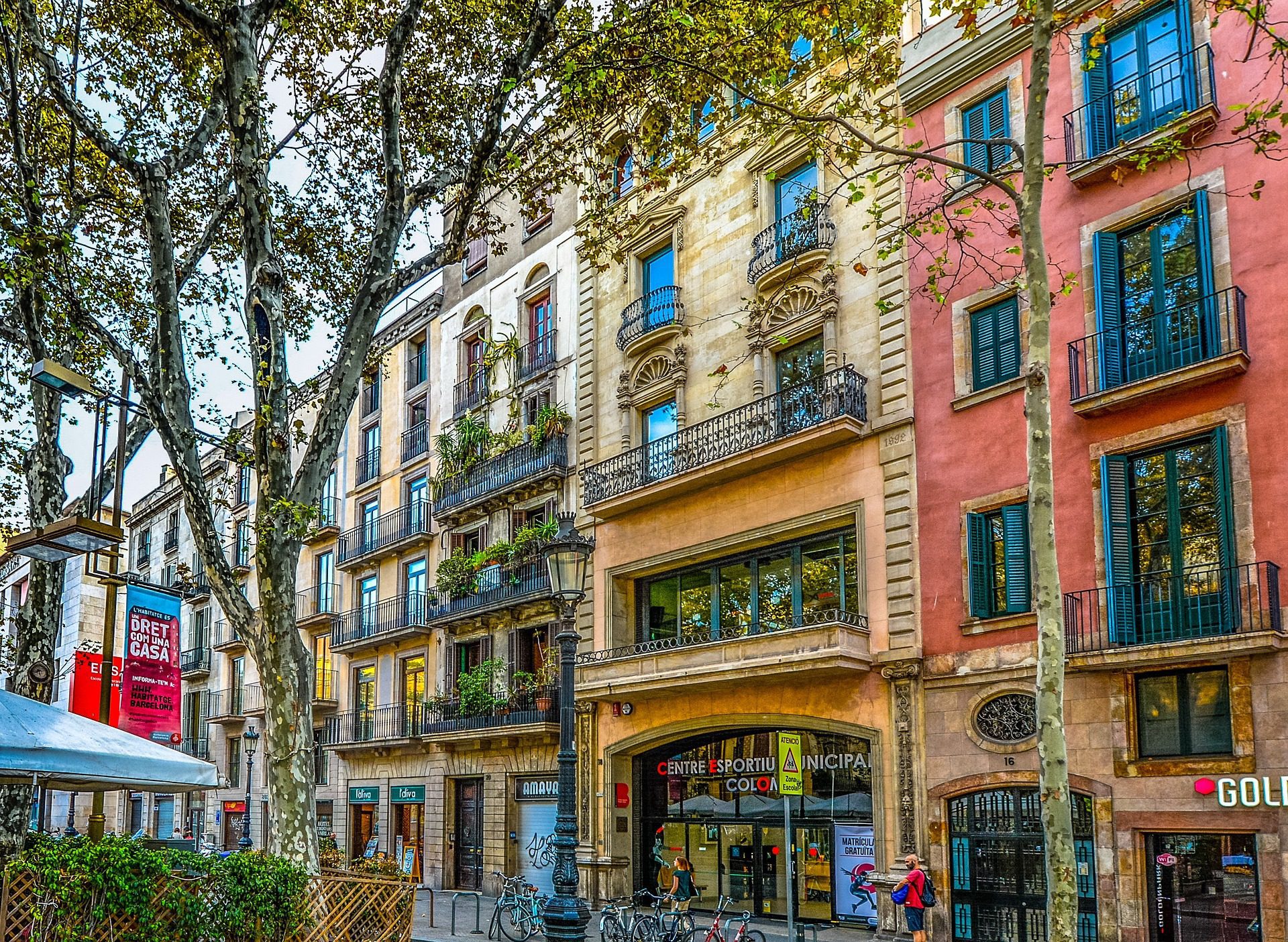 real fund barcelona