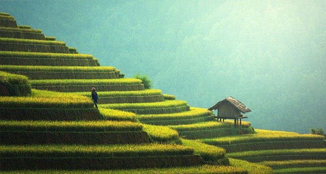 Depósitos bitcoin: grupo japonés SBI ofrece 1% de interés para máximo de 5 BTC
