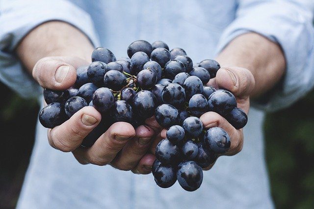 alimentos en blockchain