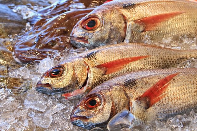 Galicia blockchain vottun pescado