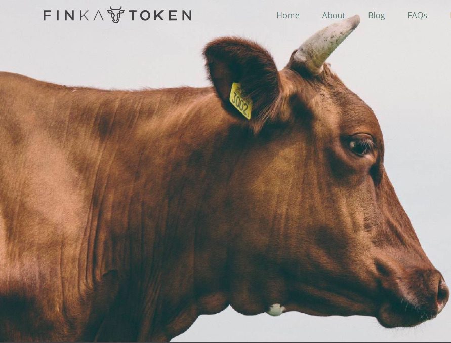finka token