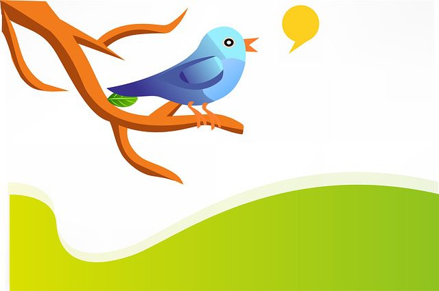 twitter nfts
