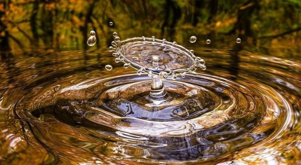 Solana y Arbitrum, las blockchain de escalabilidad que se paralizaron por exceso de actividad