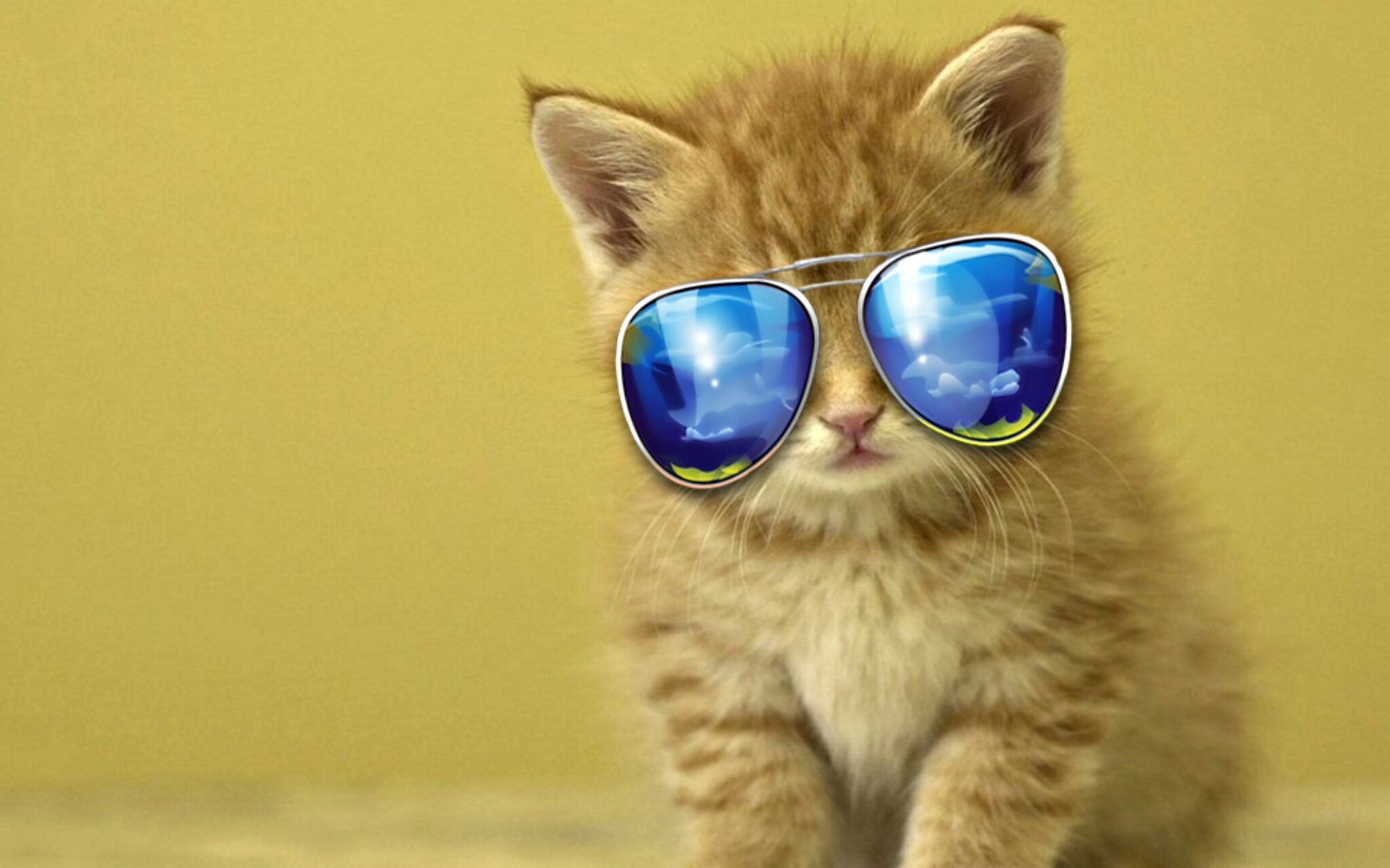 NFT de Cool Cats se revalorizan después de colaborar con TIME