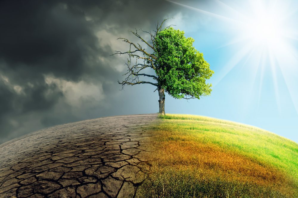 NFT de Ethereum más nocivos para el ambiente