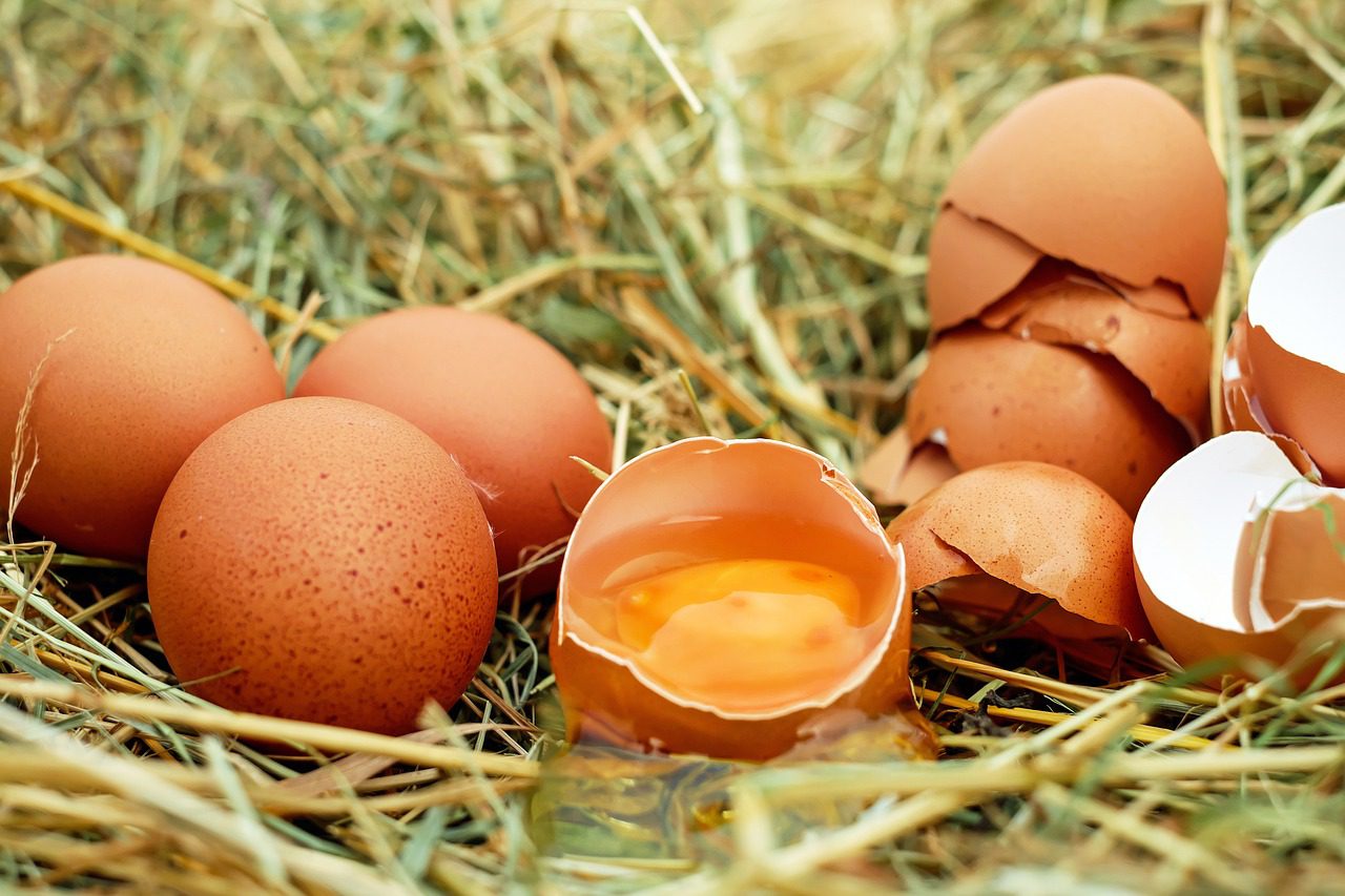 Alcampo comienza a usar blockchain para la trazabilidad de sus huevos