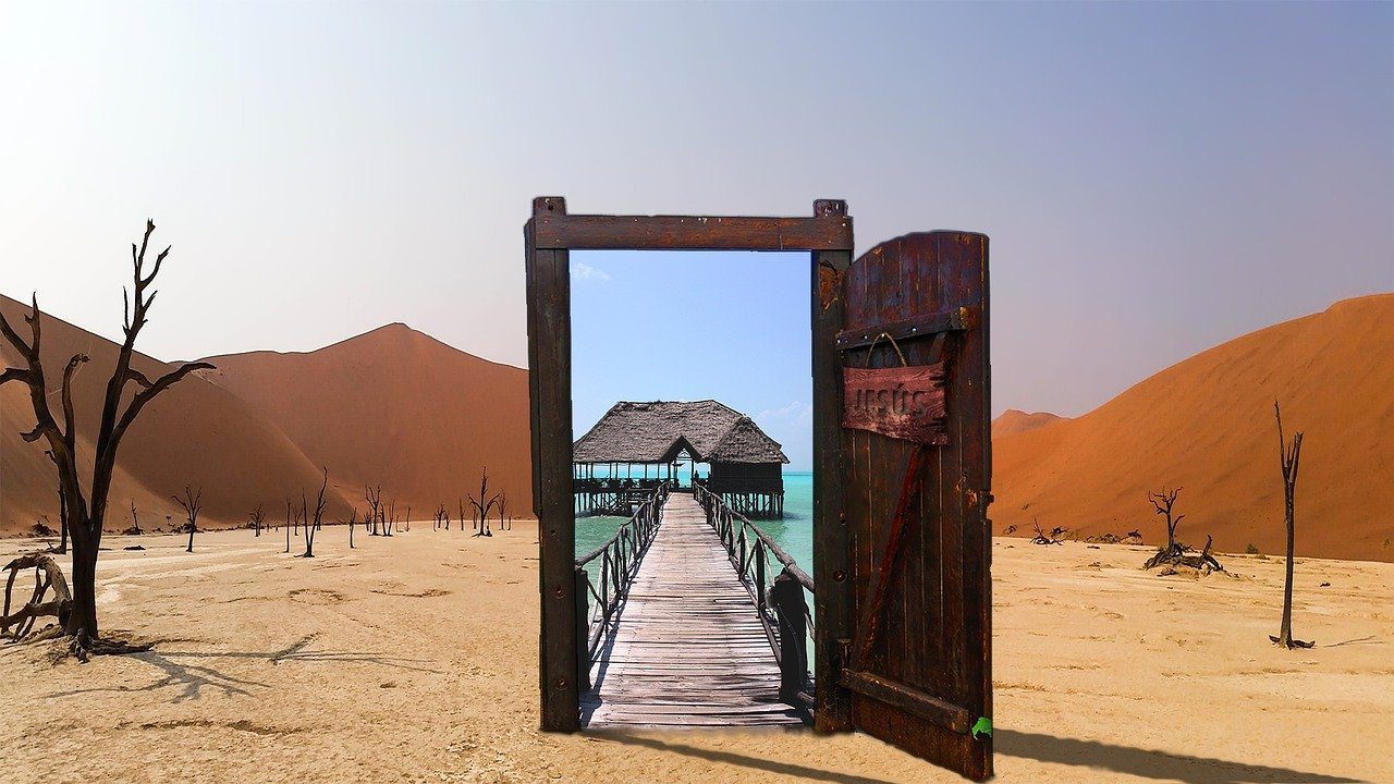 Qué es la criptomoneda Oasis Network y por qué la añadimos a nuestra cartera de inversión