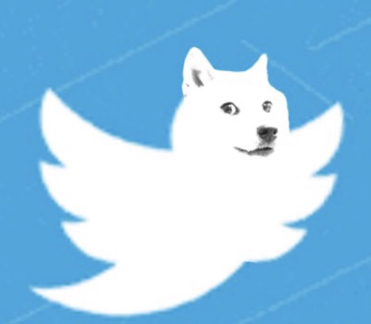 Twitter, Visa, PayPal y Western Union pisan acelerador de la Web3
