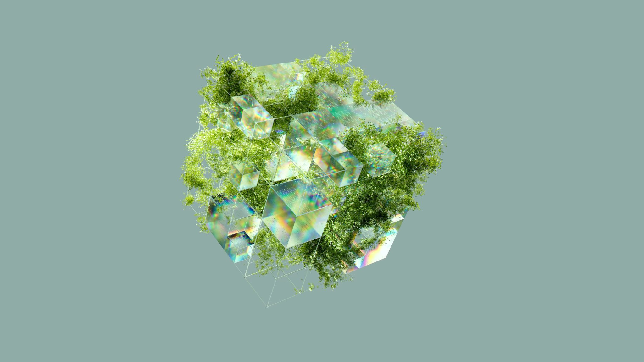 Cuatro proyectos blockchain para cuidar del medioambiente