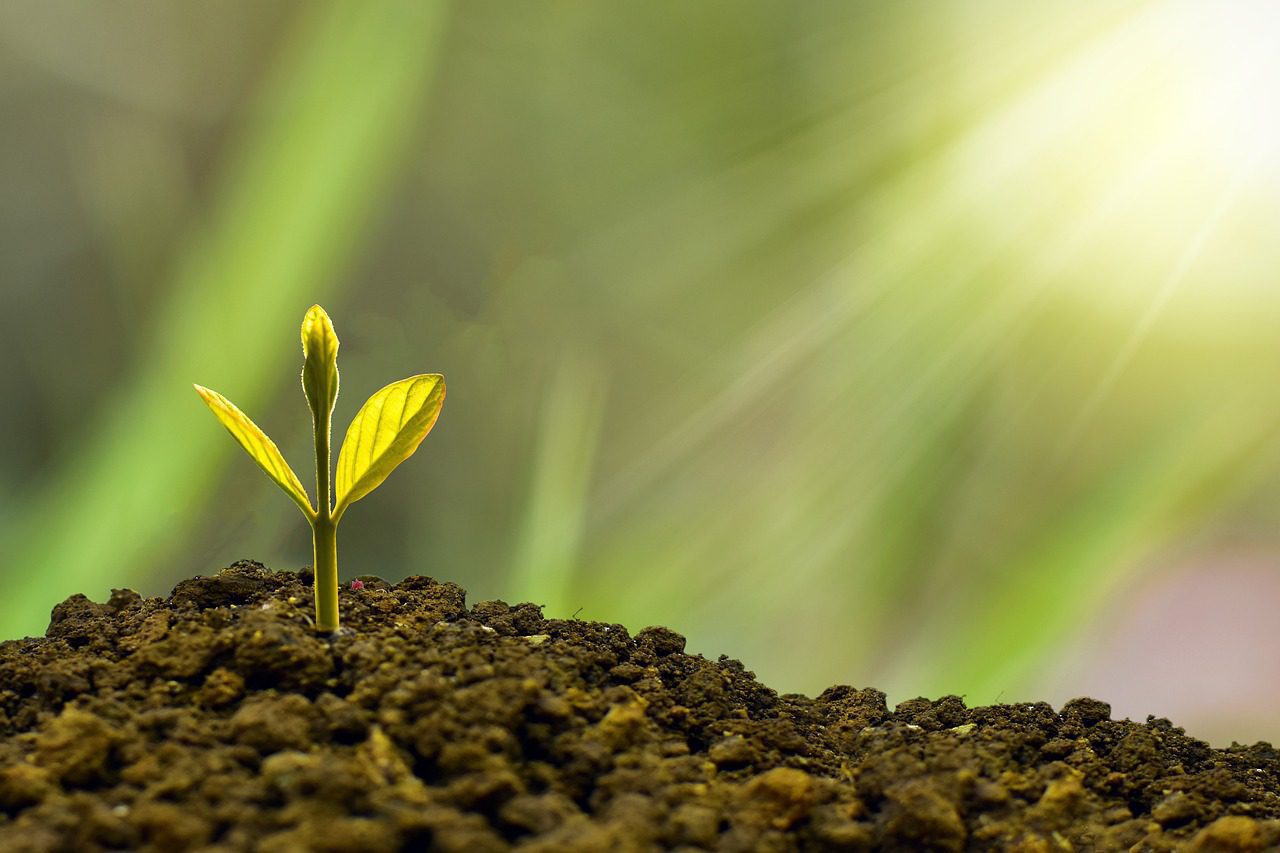 Cómo usar stablecoins para realizar inversiones en DeFi