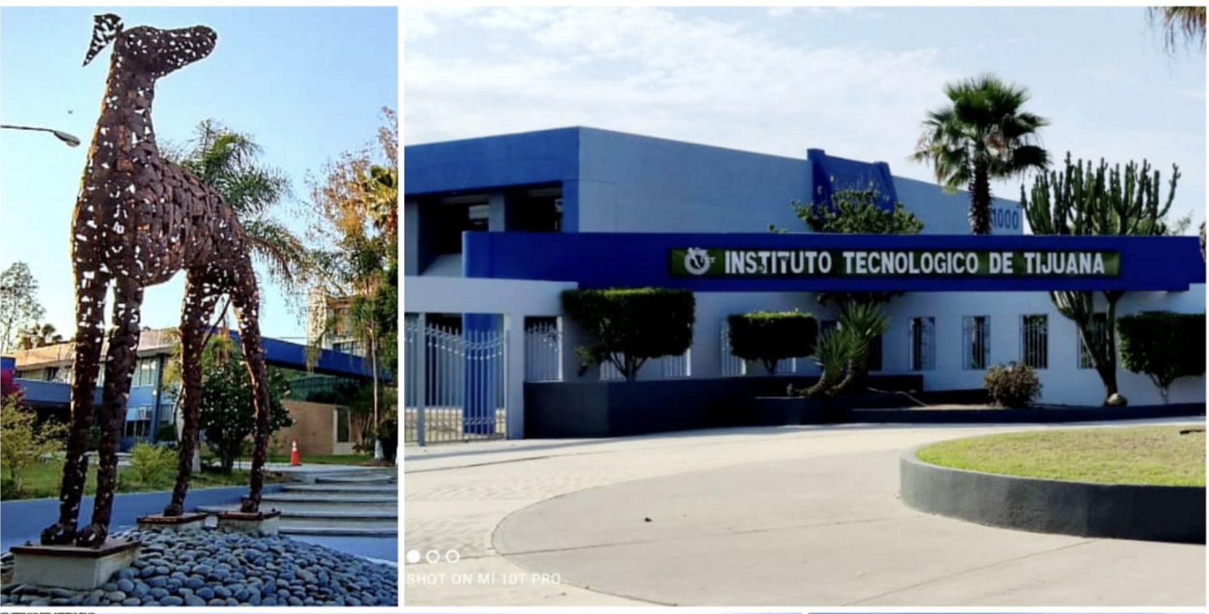 La española BITLAB se asocia con Instituto Tecnológico de Tijuana