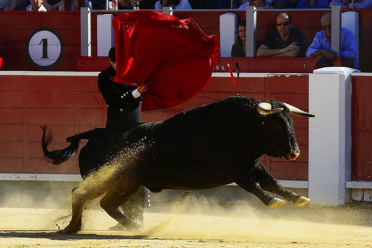 Bitcoin supera los $51.000 y el billón de dólares de capitalización de mercado