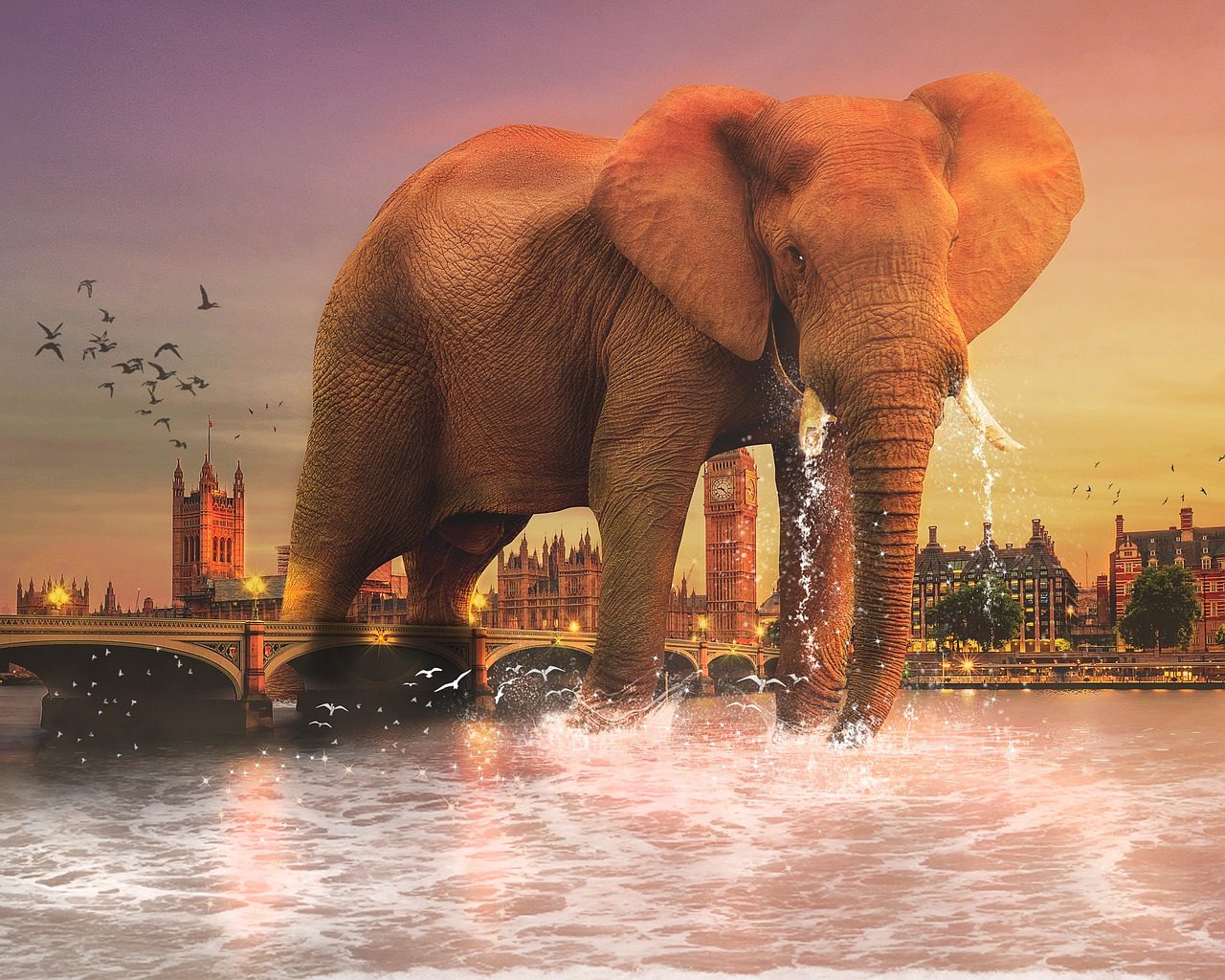 Bitcoin es un elefante en la habitación de la economía política