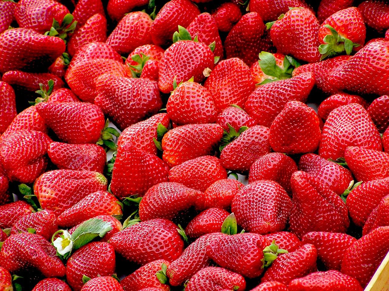 La certificación agroalimentaria con tecnología blockchain en España