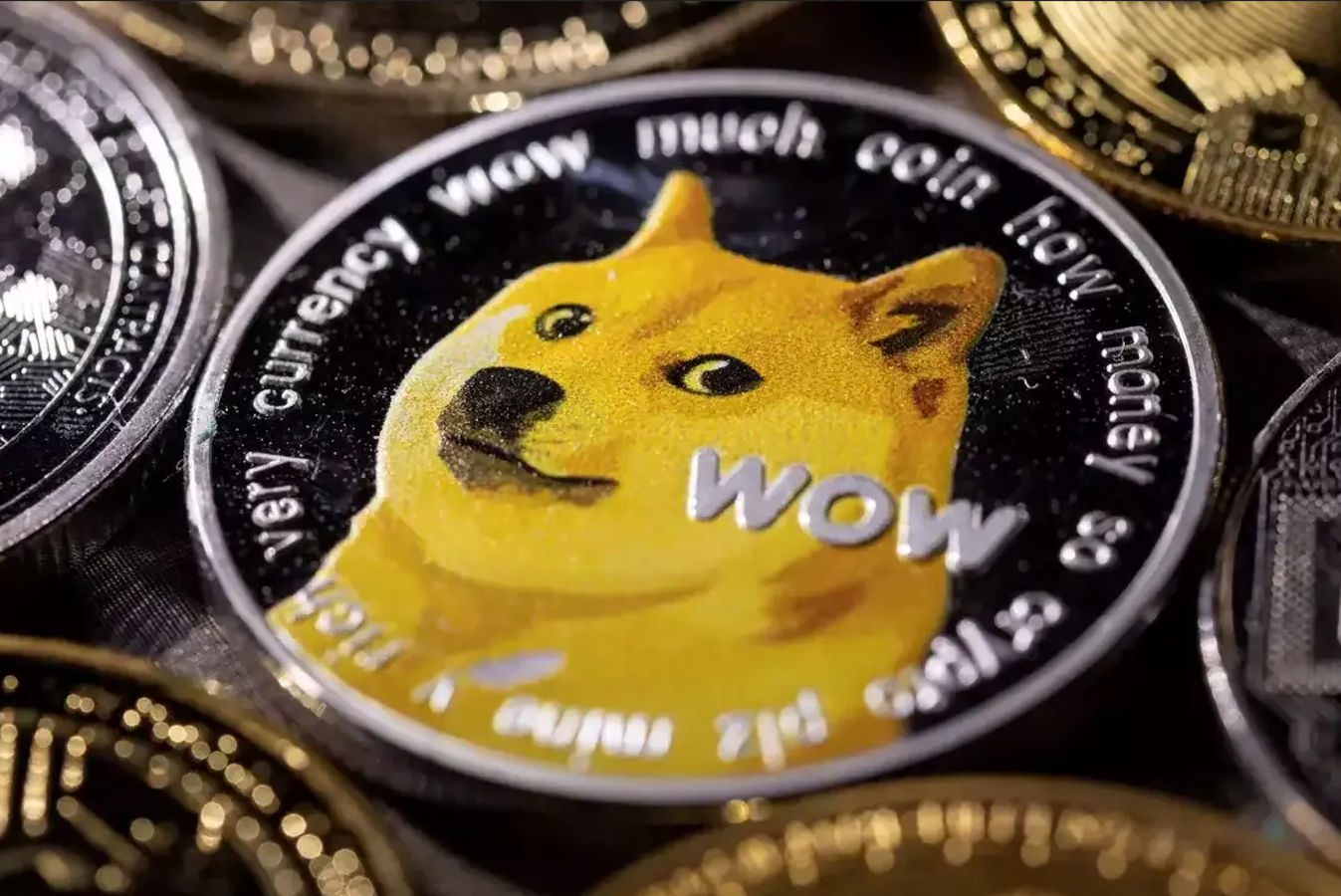 Memecoins incrementan su impacto en la adopción general de las criptomonedas