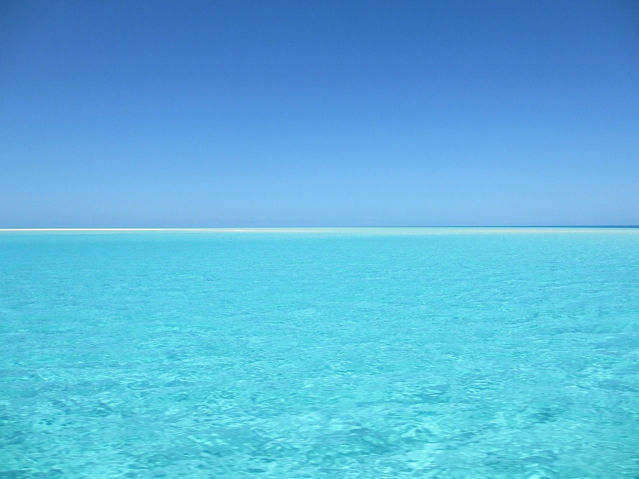 OpenSea se resiste al naufragio y diseña una nueva plataforma