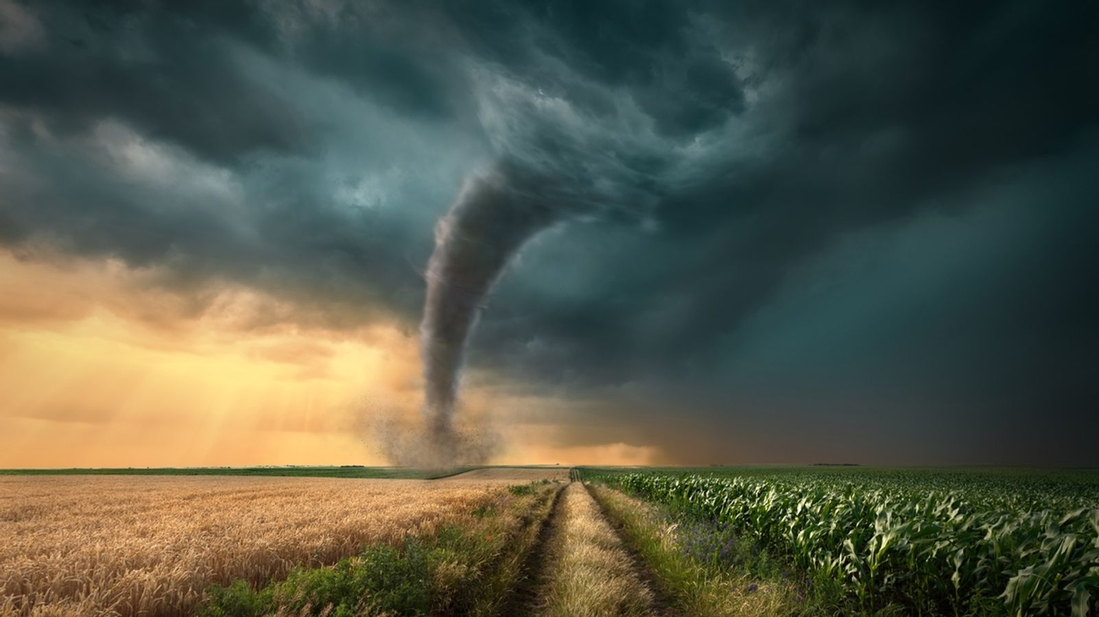 Tornado Cash obtiene victoria judicial contra OFAC y la SEC