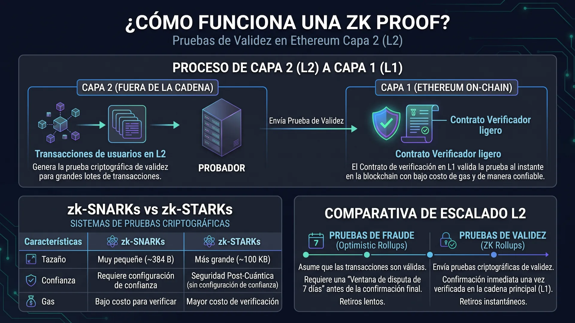 Infografía de como funciona una ZK Proofs
