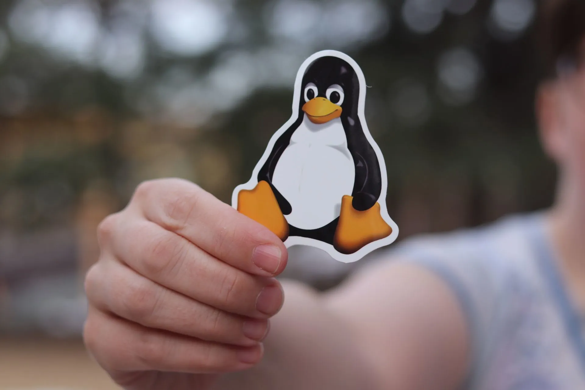 Linus Torvalds retira funciones peligrosas del kernel Linux 7.4